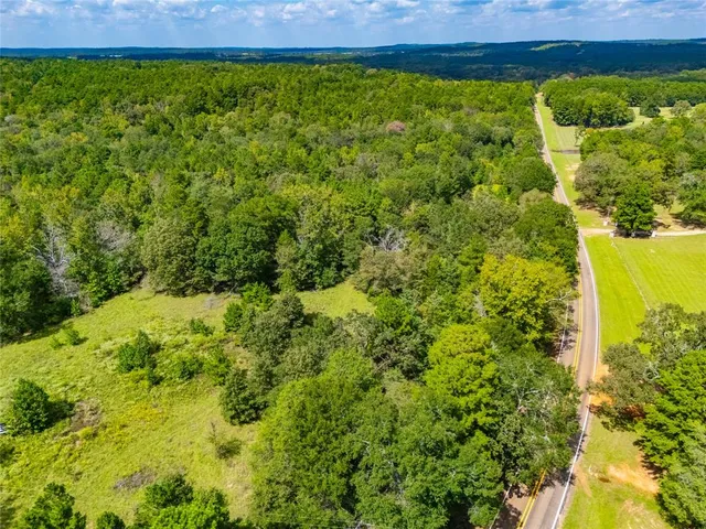 a view of a garden with an outdoor space