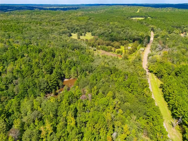a view of a big yard with plants and large trees