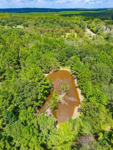 a view of a garden with a house