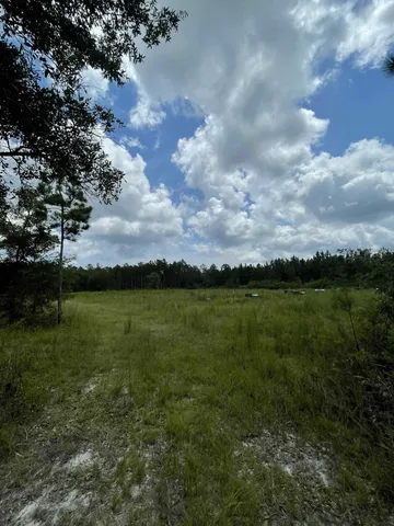 $325,000 | Xx Otter Creek Road, Sopchoppy, FL 32358