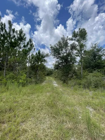$325,000 | Xx Otter Creek Road, Sopchoppy, FL 32358