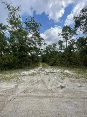 $325,000 | Xx Otter Creek Road, Sopchoppy, FL 32358