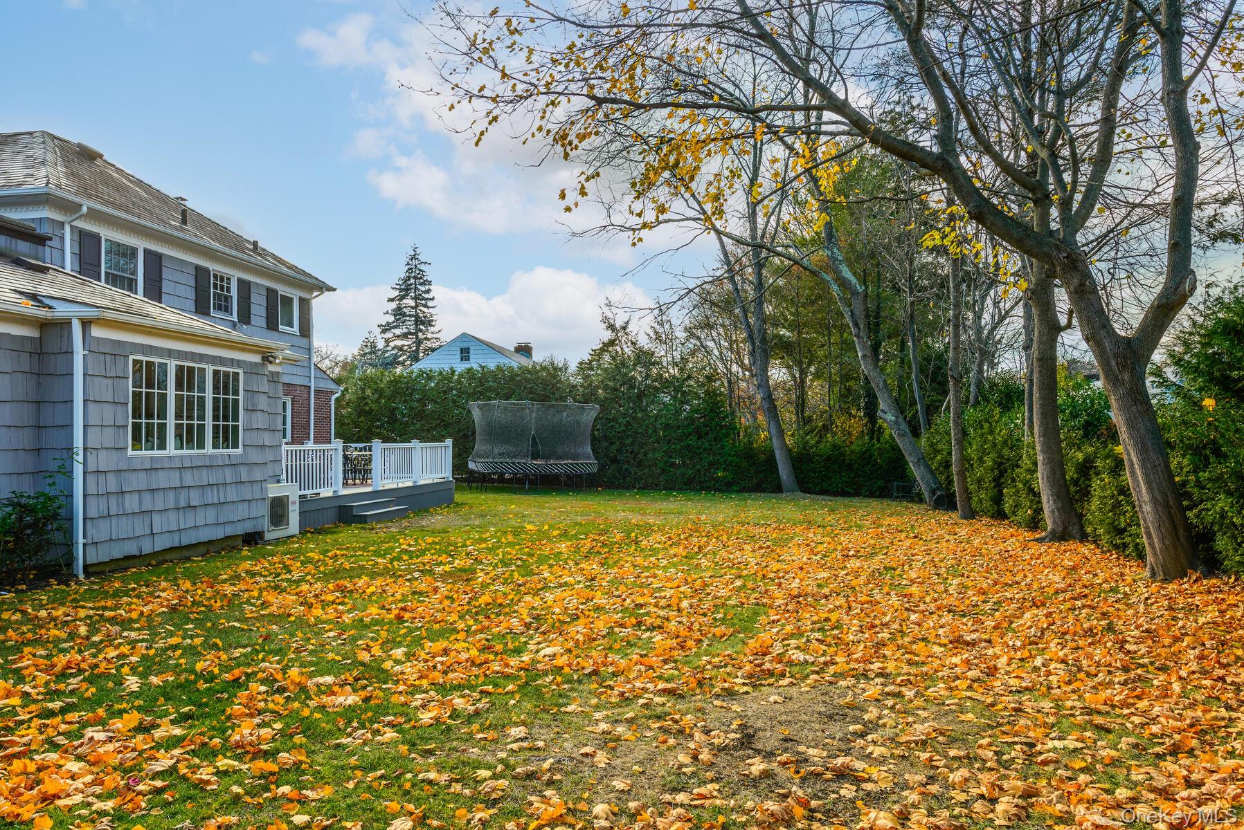 47 Whistler Road Manhasset, NY 11030 - Photo 27 of 31