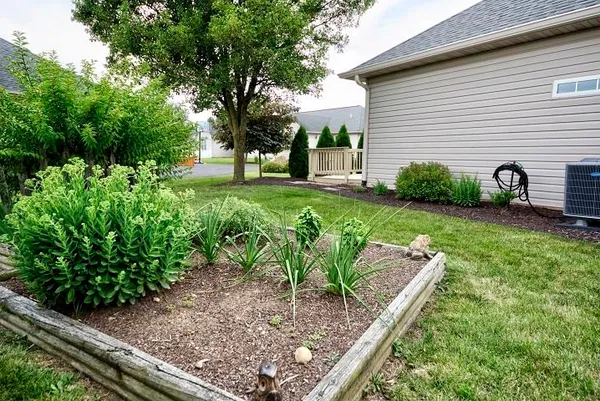 a view of a lush green space