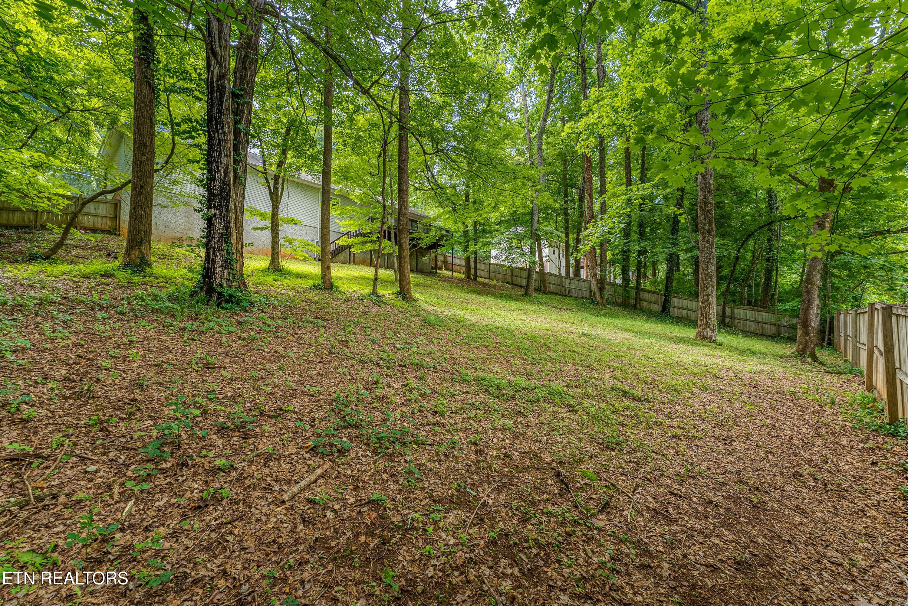 6133 Weems Road Knoxville, TN 37918 - Photo 33 of 34 34-Back A2