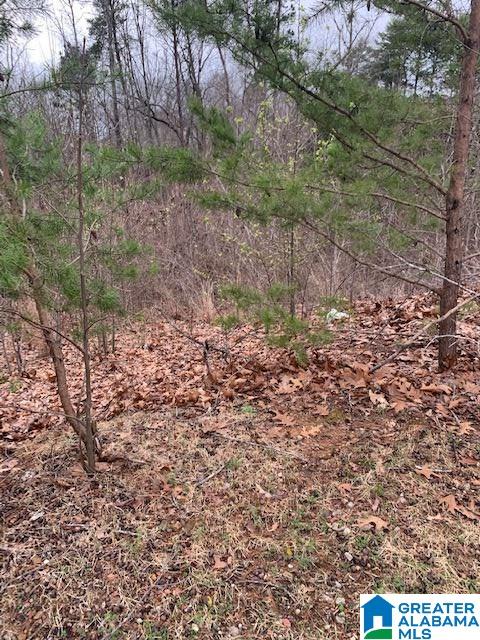 164 Dee Hendrix Road, Unit 10 Bessemer, AL 35023 - Photo 1 of 2