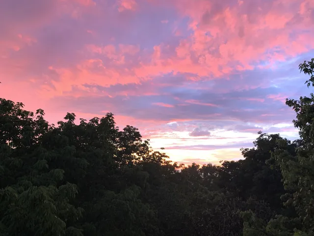 $724,500 | 2107 32nd Avenue South, Nashville, TN 37212