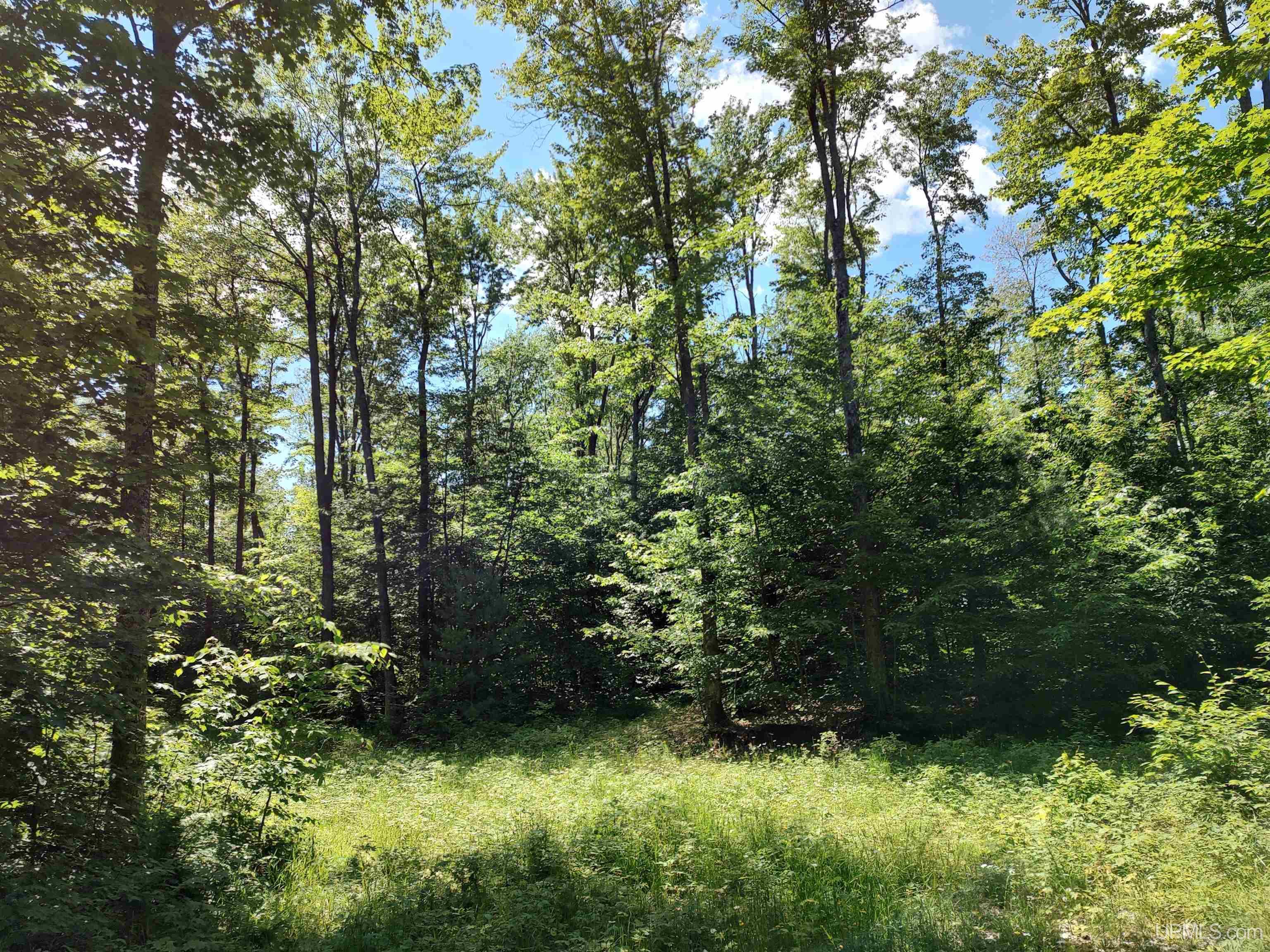 16 Mile Lake Road Munising, MI 49862 - Photo 5 of 12 Gallery Image 5