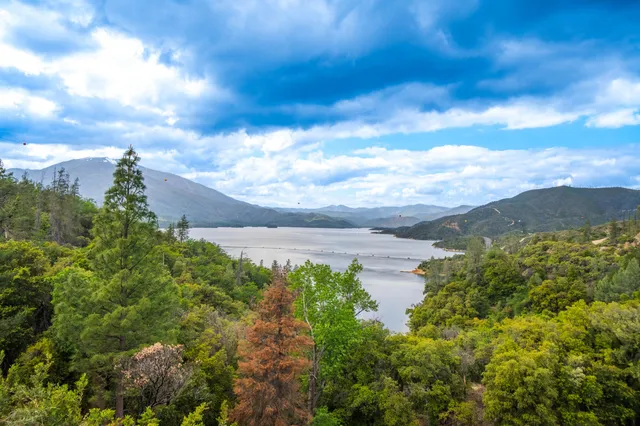 $20,500 | 10670 High Street, Shasta, CA 96087