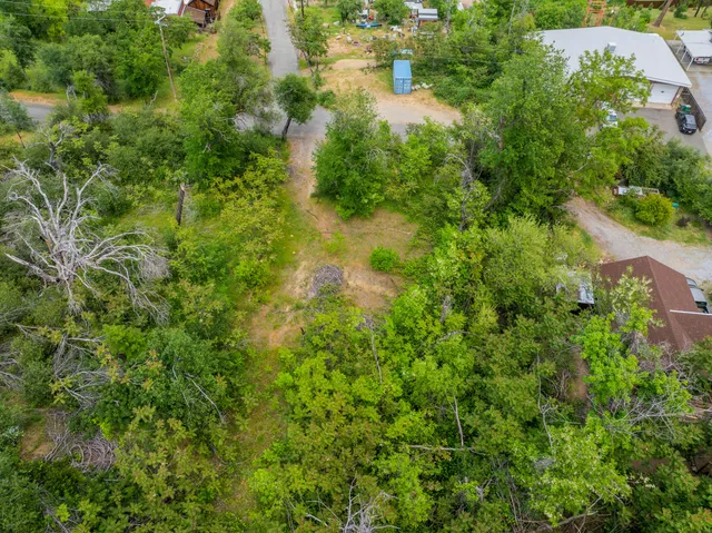 a view of a lush green field with lots of bushes