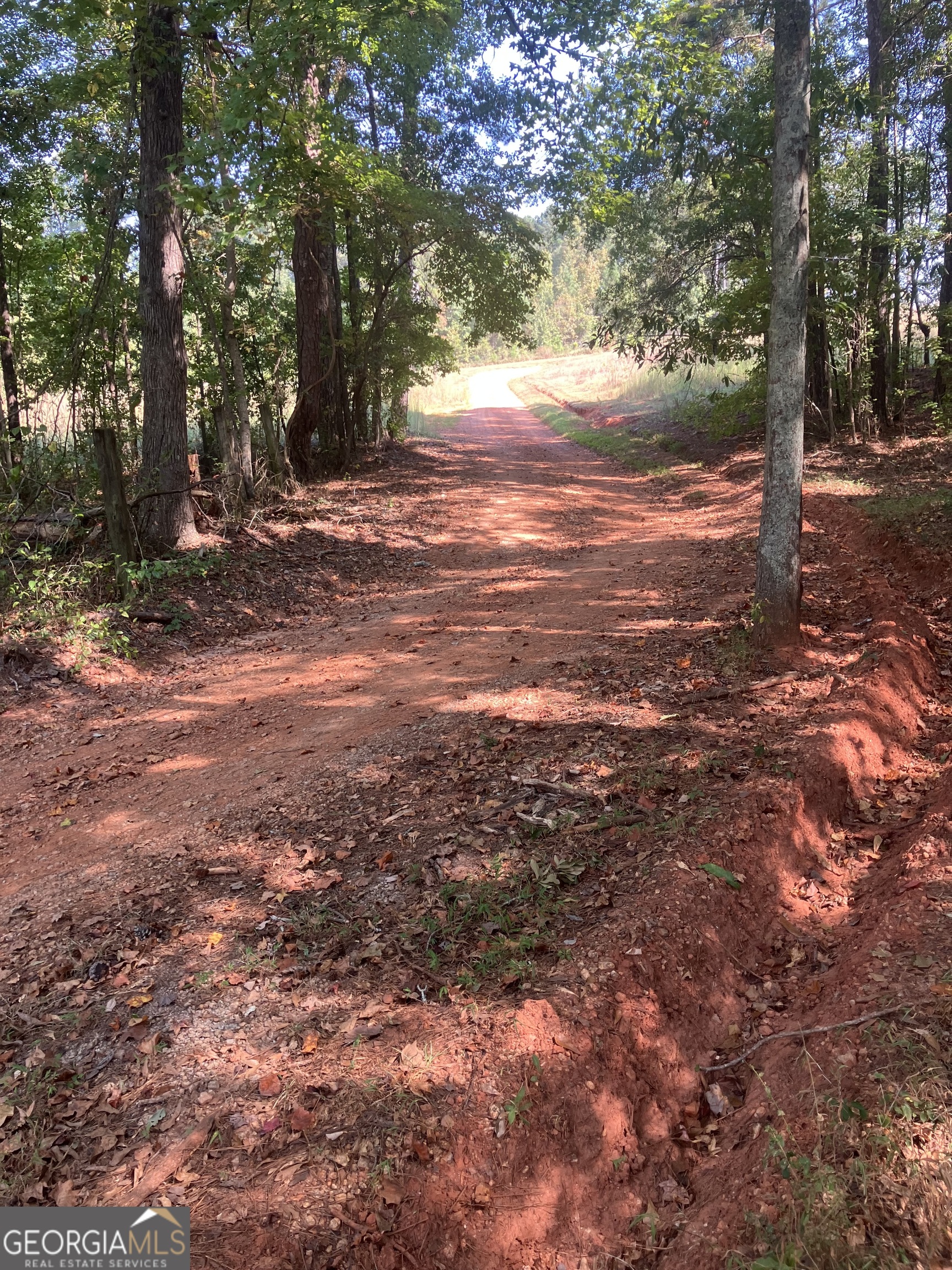0 Teasley Trail Moreland, GA 30259 - Photo 2 of 10 a view of outdoor space with trees