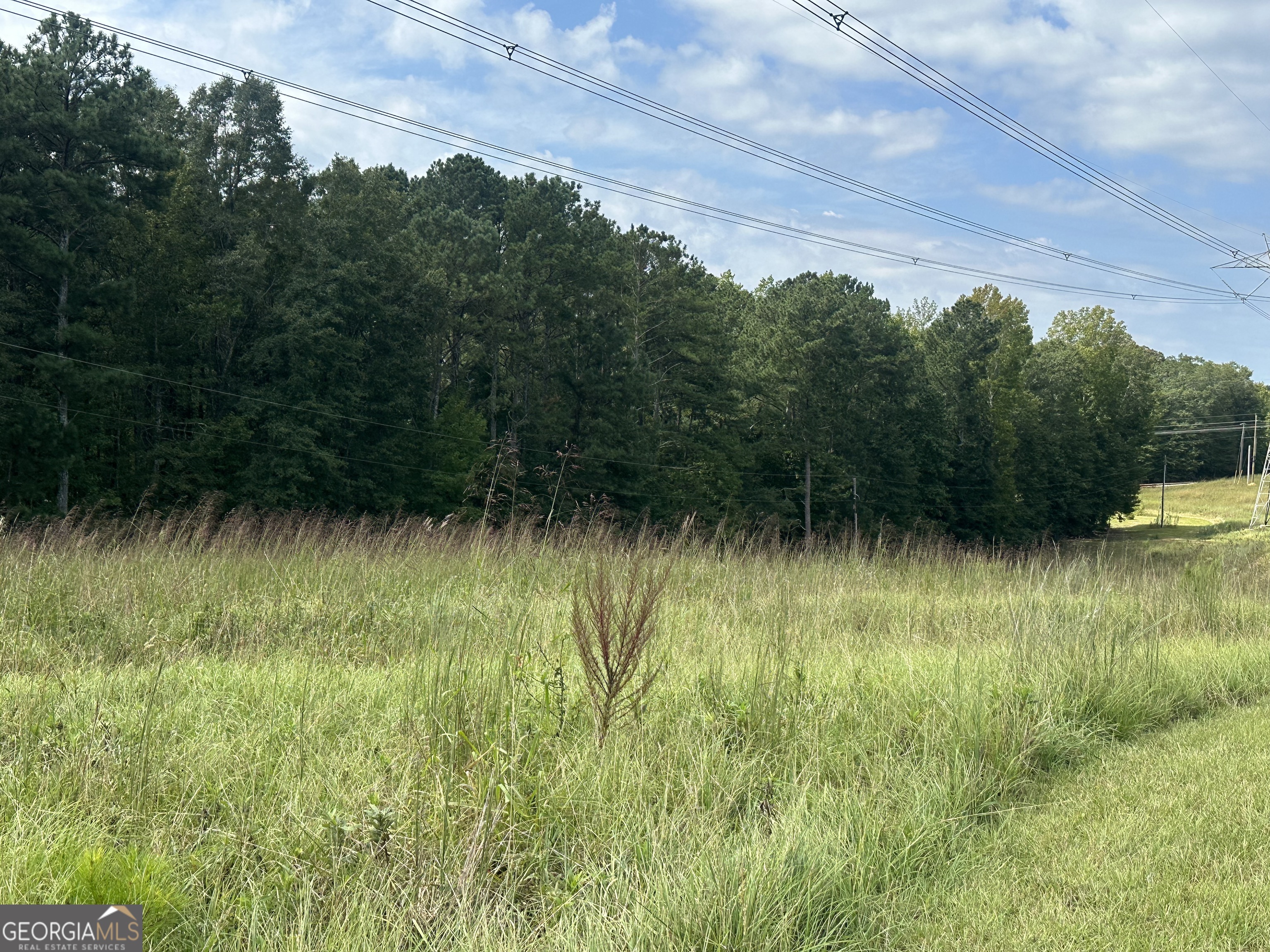 0 Teasley Trail Moreland, GA 30259 - Photo 3 of 10 a view of a lake view