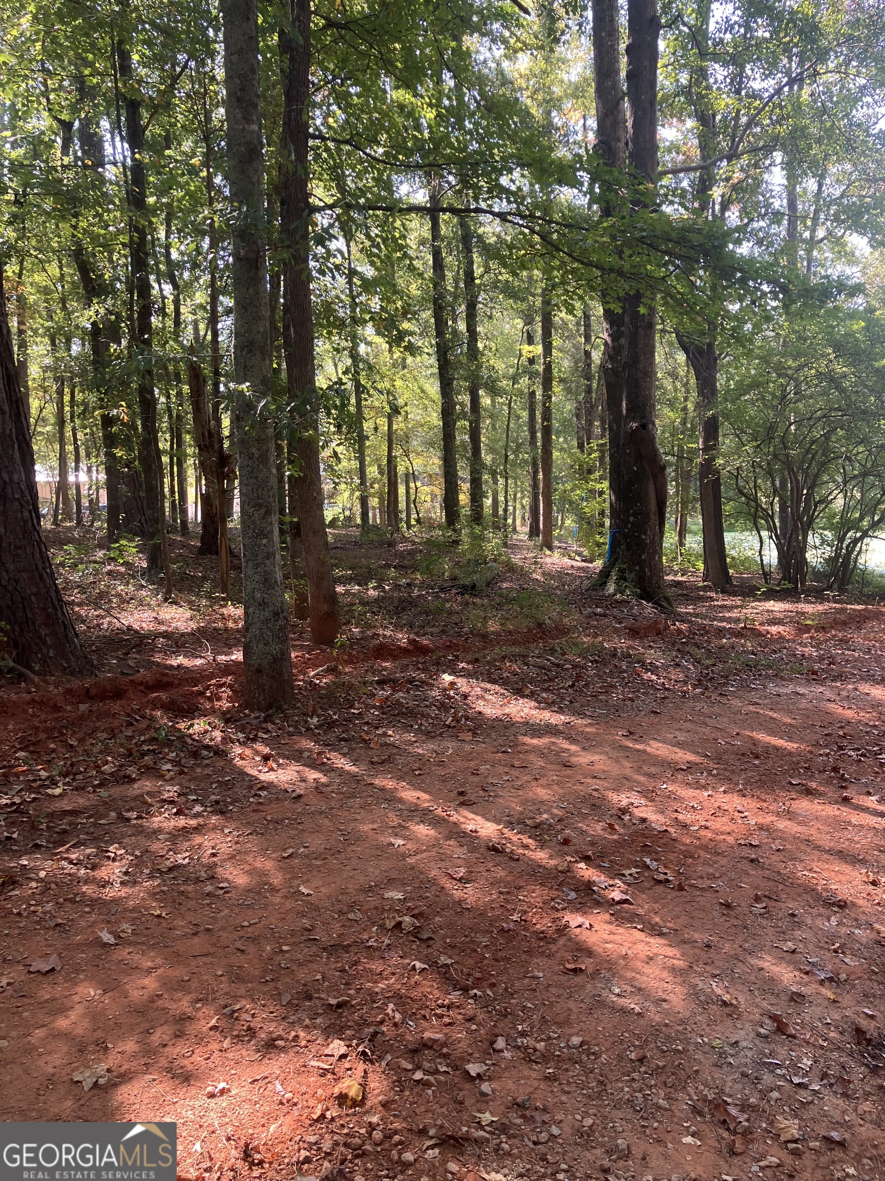 0 Teasley Trail Moreland, GA 30259 - Photo 6 of 10 a view of a tree in the middle of a yard