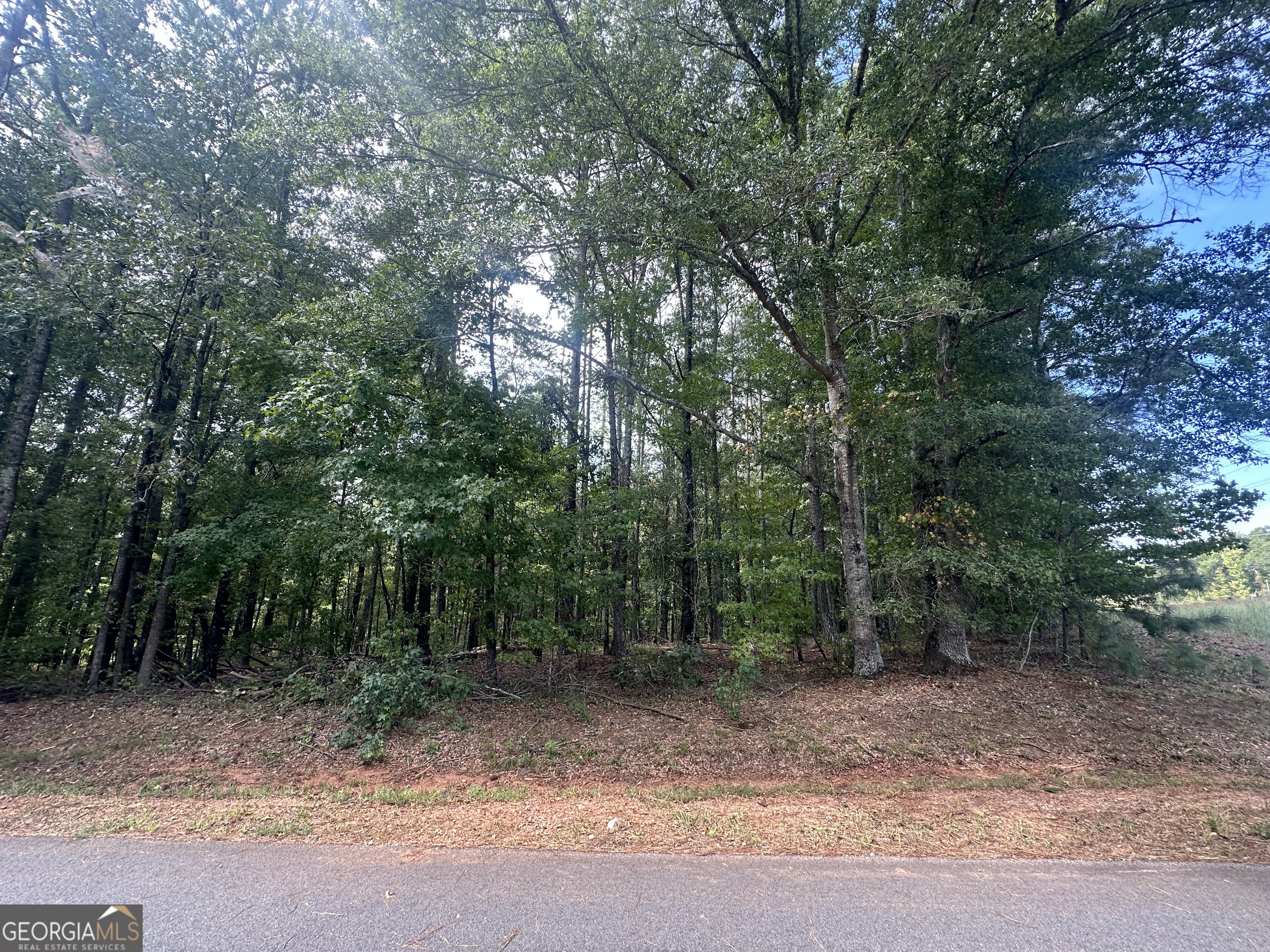 0 Teasley Trail Moreland, GA 30259 - Photo 8 of 10 a view of a forest with trees in the background