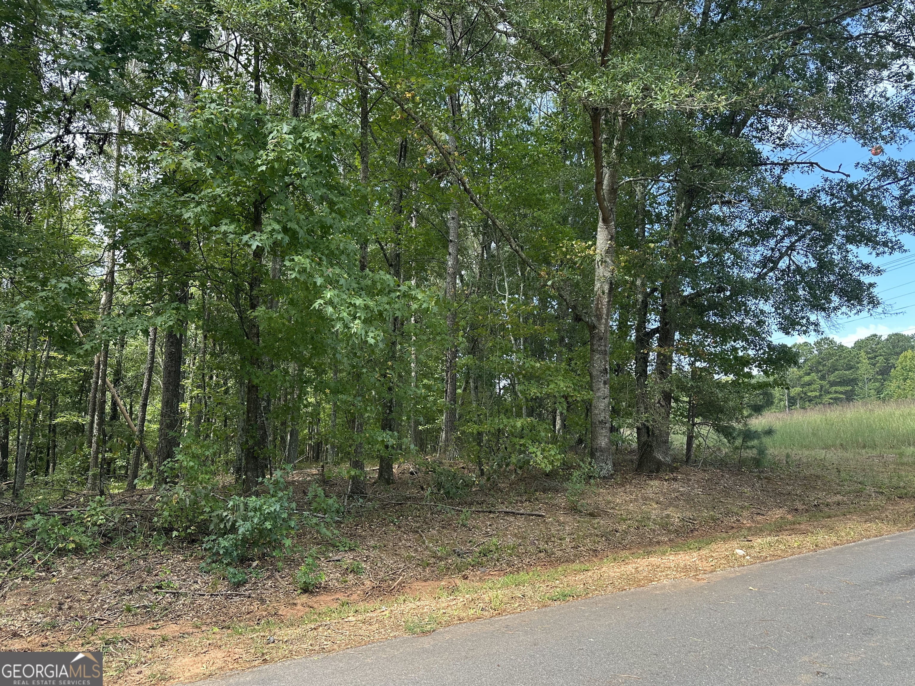 0 Teasley Trail Moreland, GA 30259 - Photo 10 of 10 a view of a yard with a tree