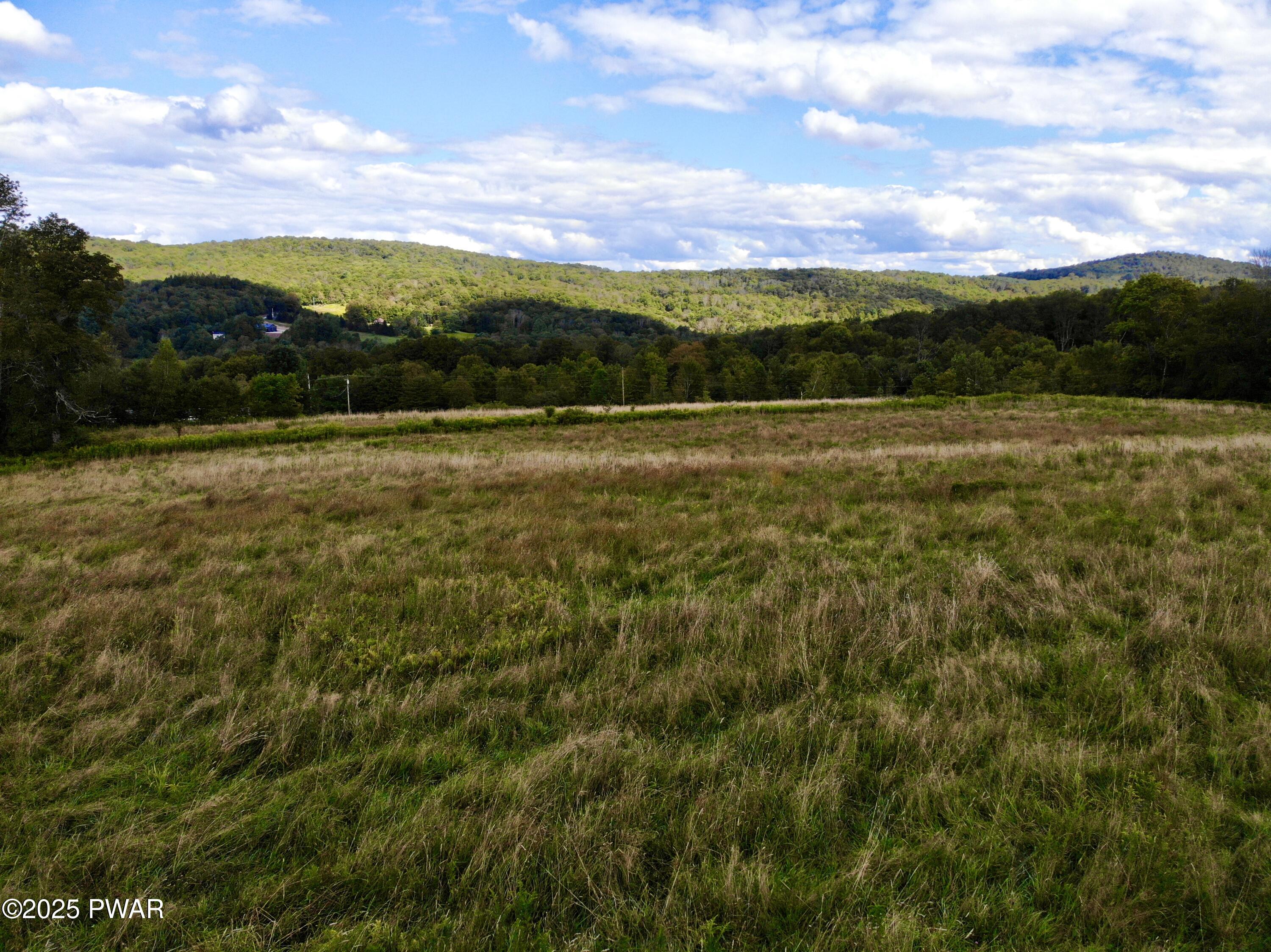 Fork Mountain Road Equinunk, PA 18417 - Photo 9 of 10