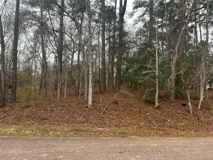 a backyard of a house with lots of plants and a tree