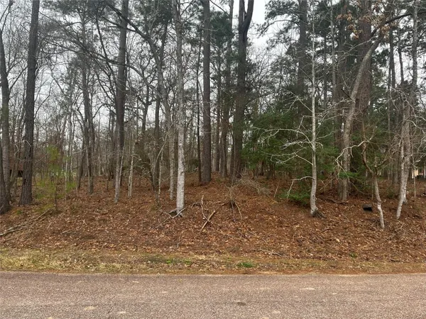 $19,700 | 101 South Royale Greens Drive, Coldspring, TX 77331