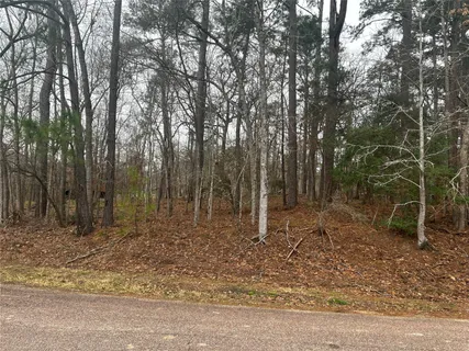 $23,000 | 101 South Royale Greens Drive, Coldspring, TX 77331