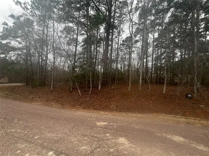 a view of outdoor space with trees