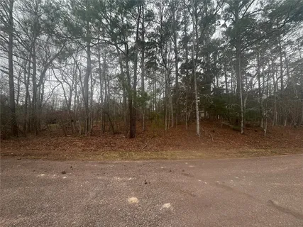 a view of outdoor space with trees