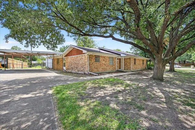 a view of a yard with a house and a large tree