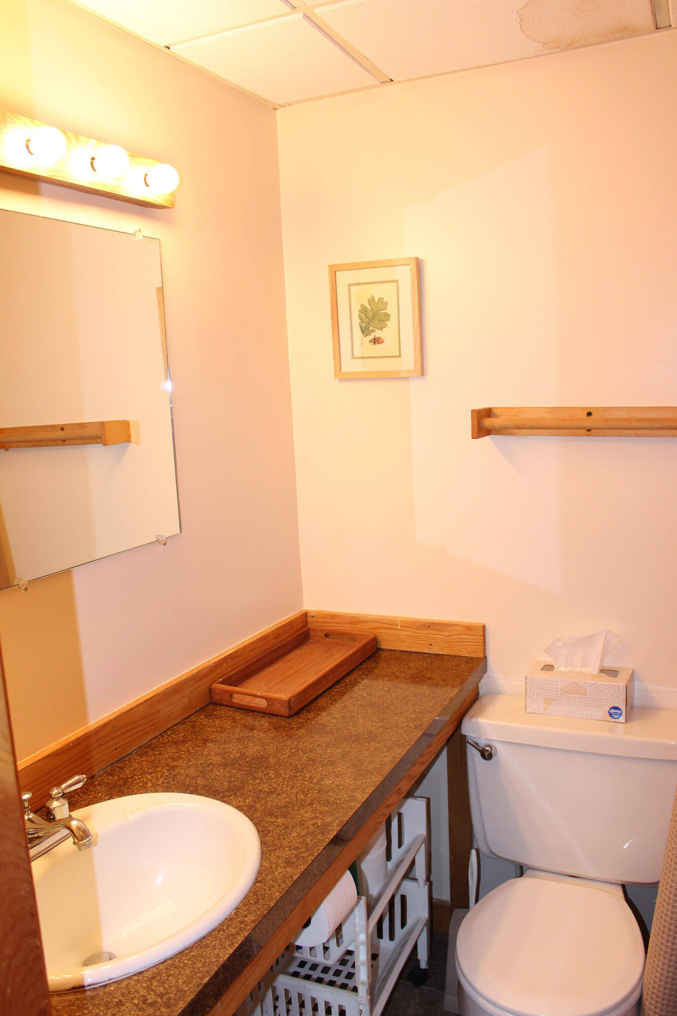 150 Mountain Side Road, Unit 150 Kingfield, ME 04947 - Photo 7 of 8 IMG_3009