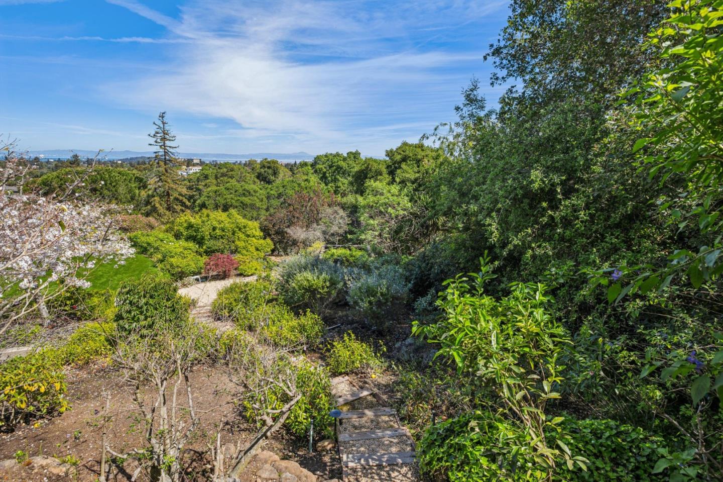 720 Endfield Way Hillsborough, CA 94010 - Photo 66 of 76 a view of a garden with a house