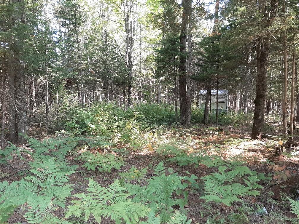 6 Pine Road New Portland, ME 04961 - Photo 3 of 5 Land