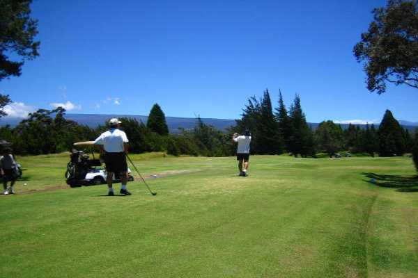 Lot A Lot A Elepaio Road Volcano, HI 96785 - Photo 1 of 13 Gallery Image 1