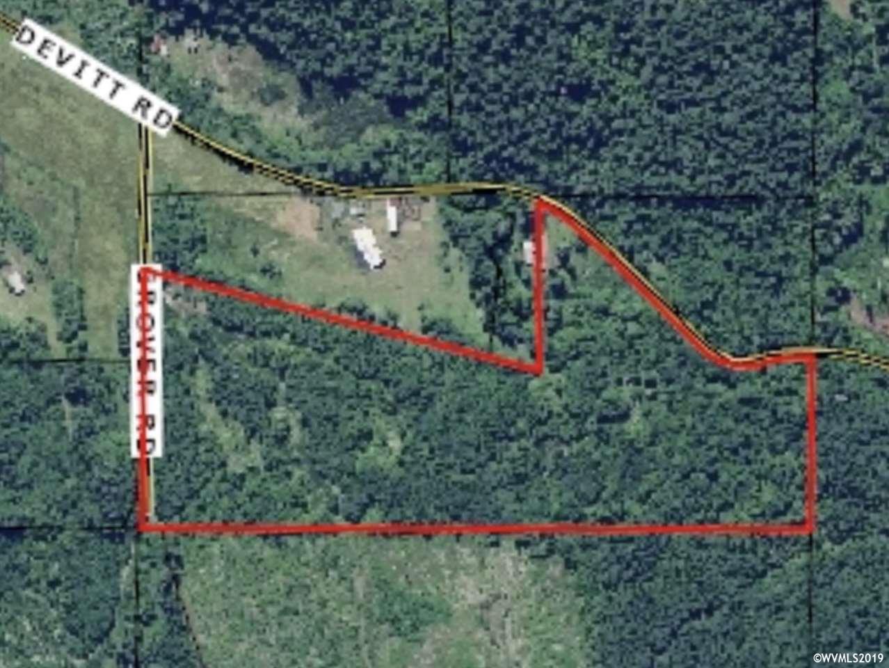 Devitt (lot 1100) Road Blodgett, OR 97326 - Photo 1 of 2