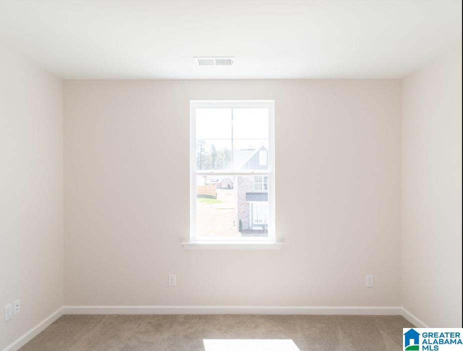 1709 Mckesie Street Riverside, AL 35135 - Photo 47 of 49