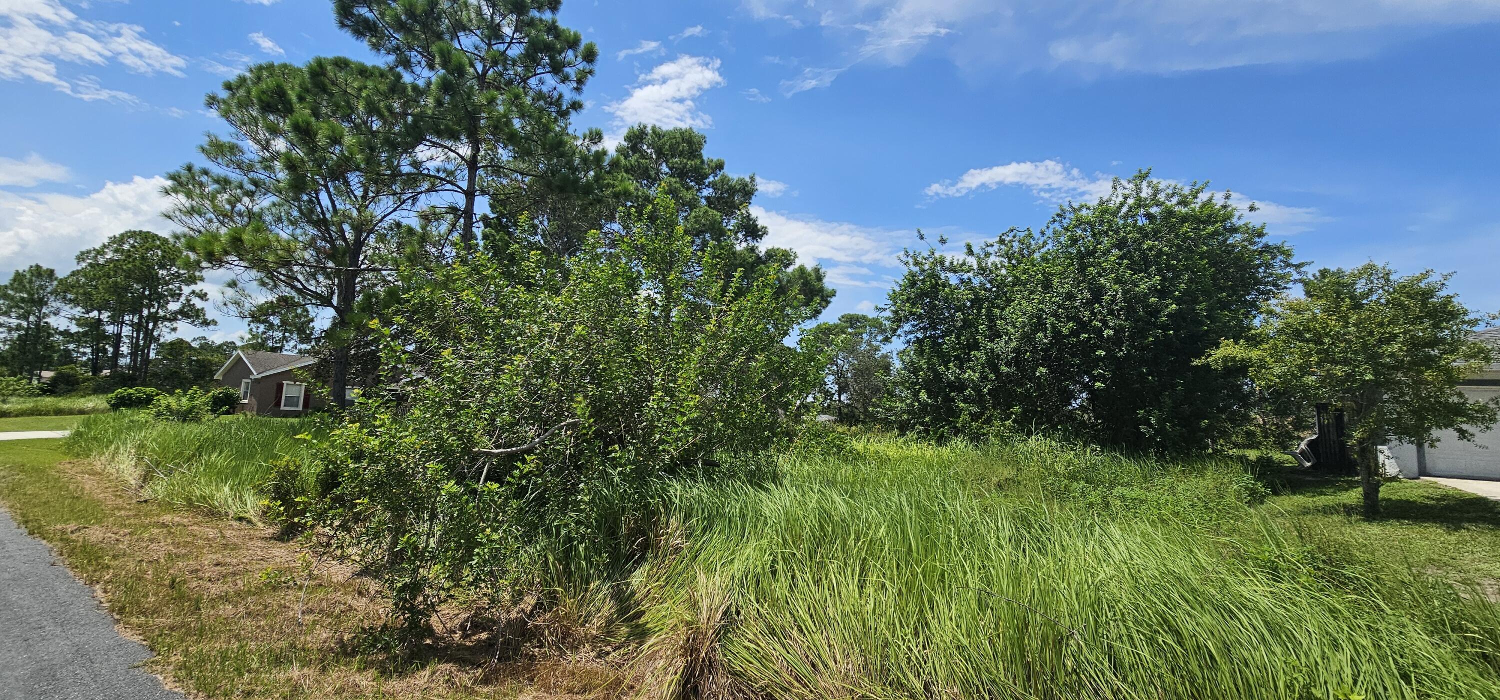 1661 Ricardo Street Southeast Palm Bay, FL 32909 - Photo 2 of 2 a view of a garden with a tree