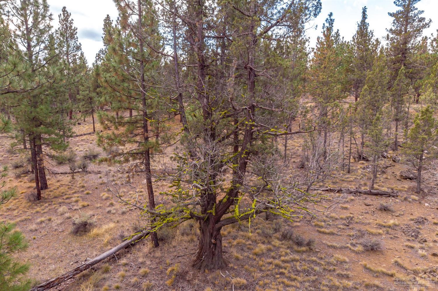 0 Peterson Ridge Road Bend, OR 97703 - Photo 13 of 17 Additional Photo