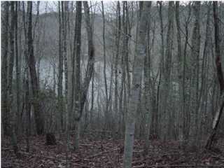 22 Charlie Stewart Road Dunlap, TN 37327 - Photo 1 of 1 Primary Photo