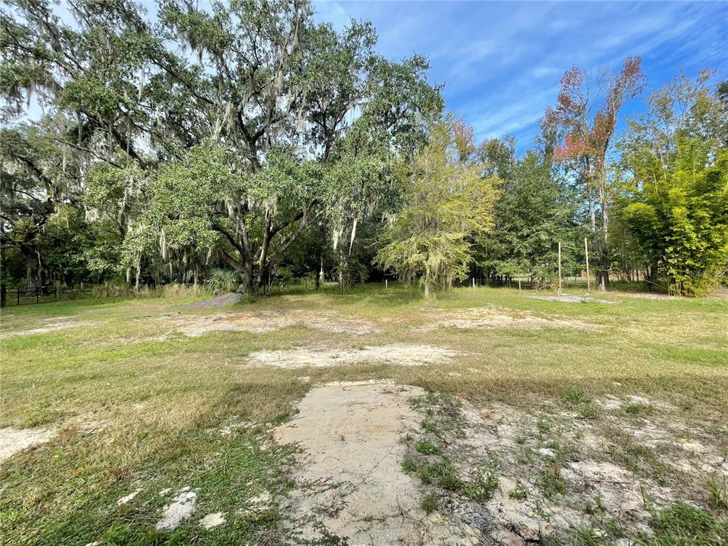 10620 Southwest 10th Terrace Micanopy, FL 32667 - Photo 54 of 58 a view of outdoor space with trees all around