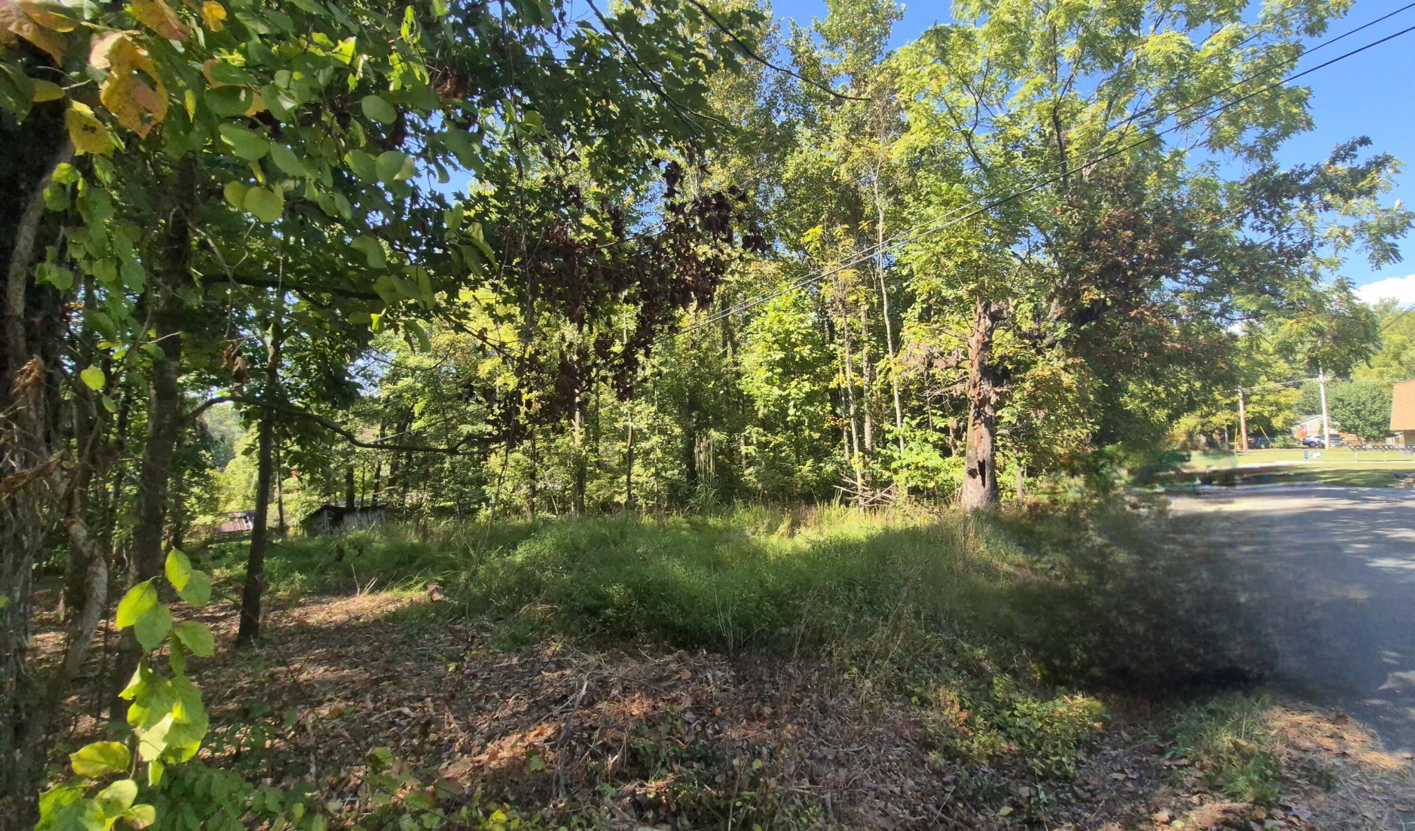 0 Spring Street Monteagle, TN 37356 - Photo 13 of 22 a backyard of a house with lots of green space