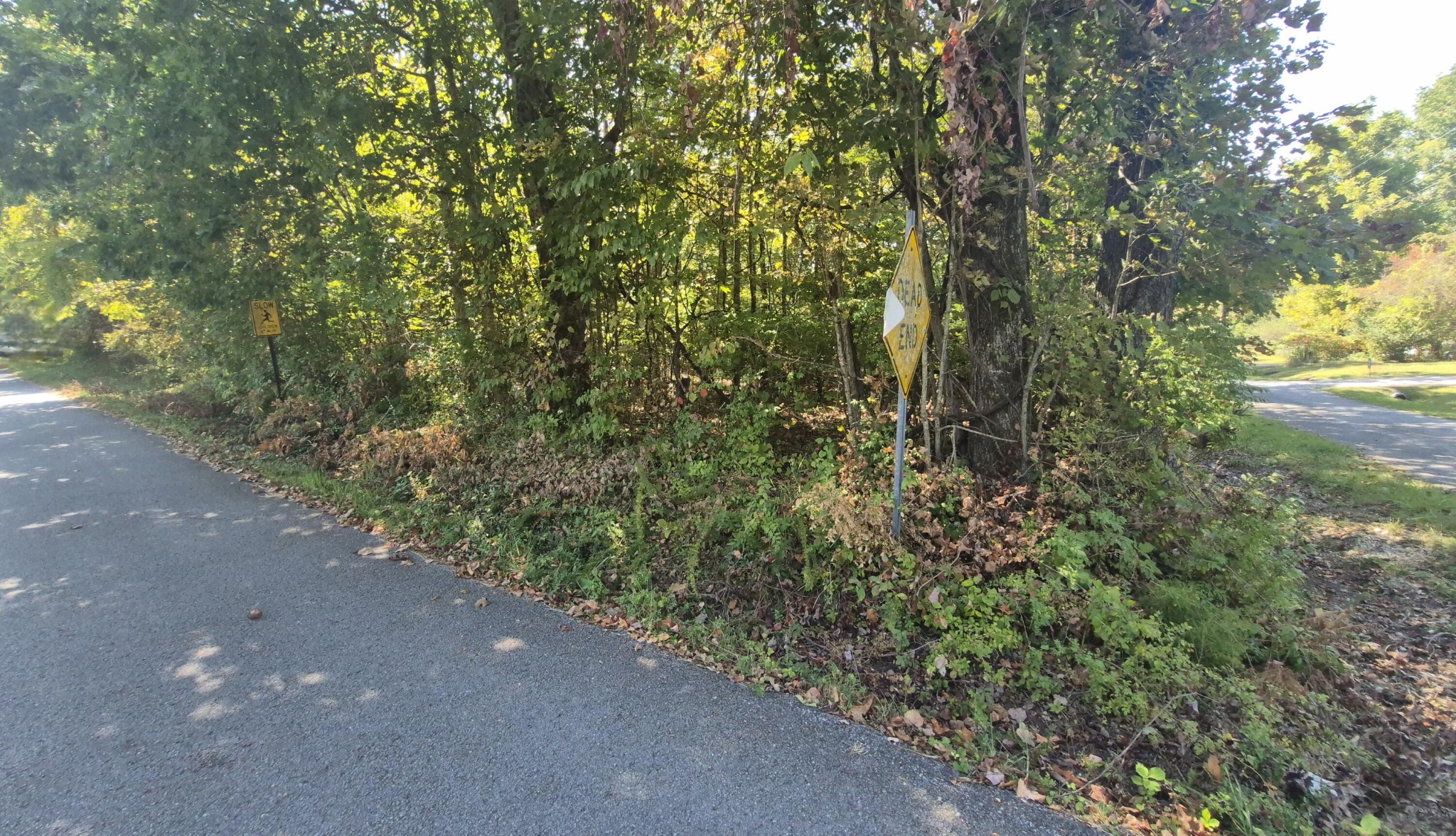 0 Spring Street Monteagle, TN 37356 - Photo 16 of 22 a view of a forest with trees in the background