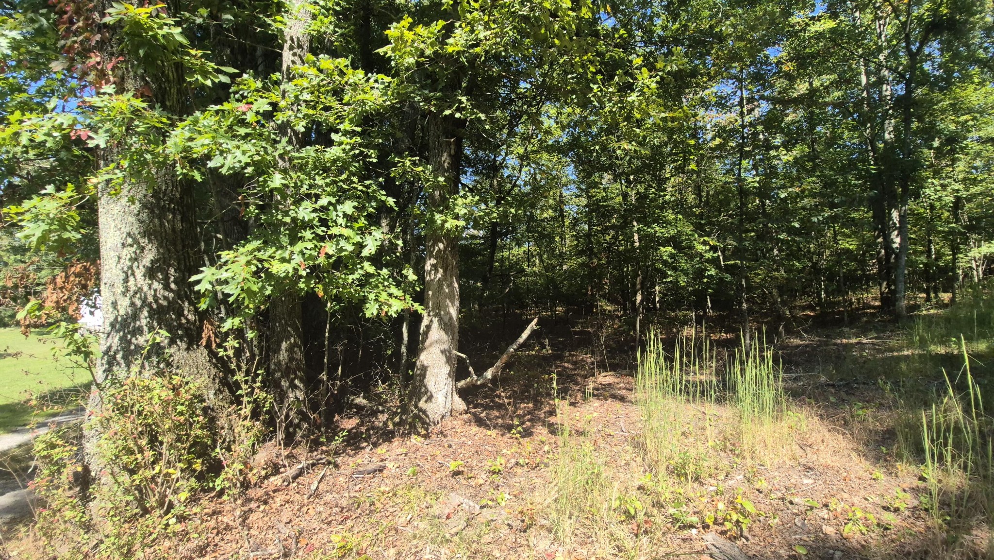 0 Spring Street Monteagle, TN 37356 - Photo 18 of 22 a view of lake with green space