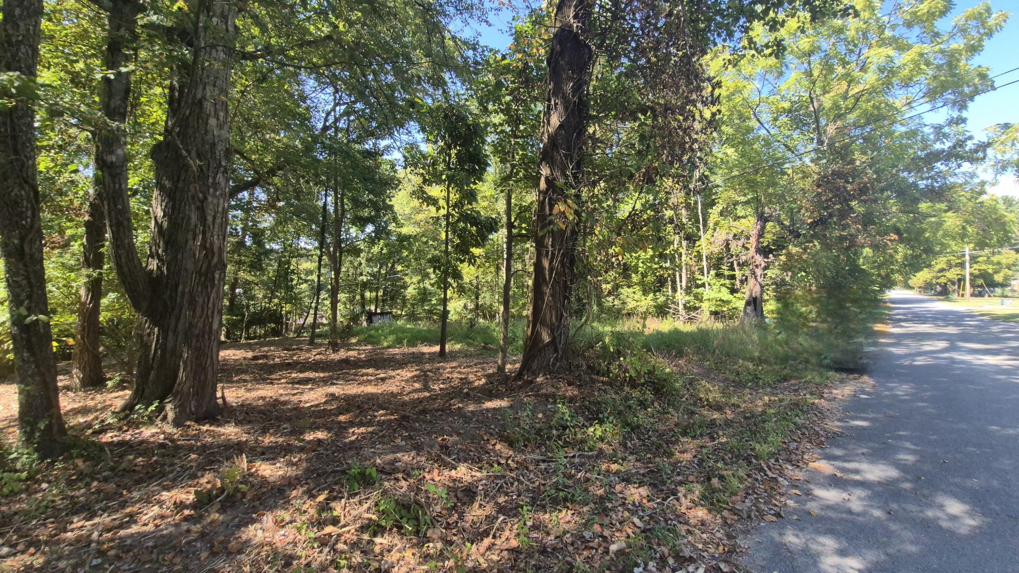0 Spring Street Monteagle, TN 37356 - Photo 2 of 22 a view of a forest with trees