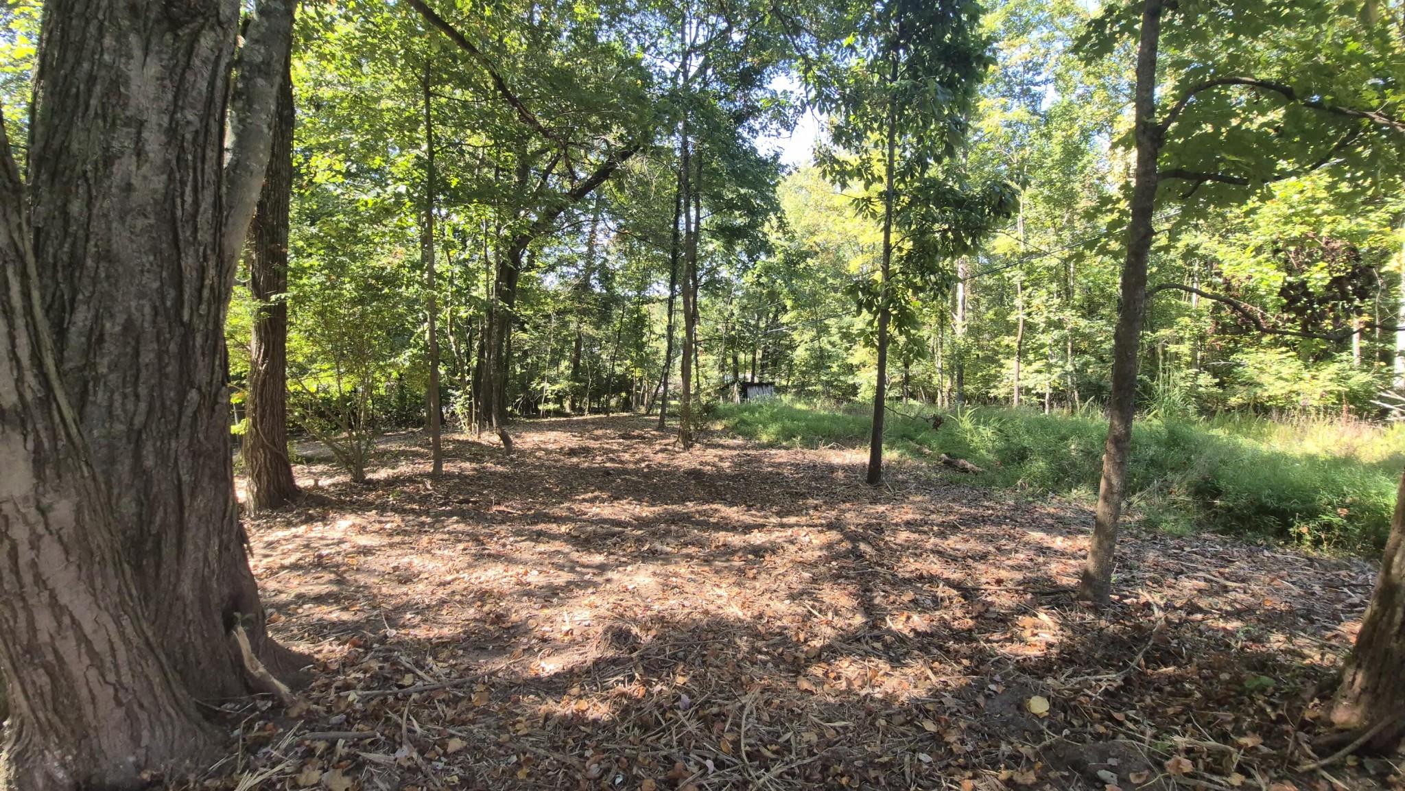 0 Spring Street Monteagle, TN 37356 - Photo 7 of 22 a view of outdoor space and trees