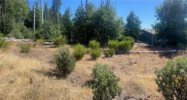 a view of backyard with green space
