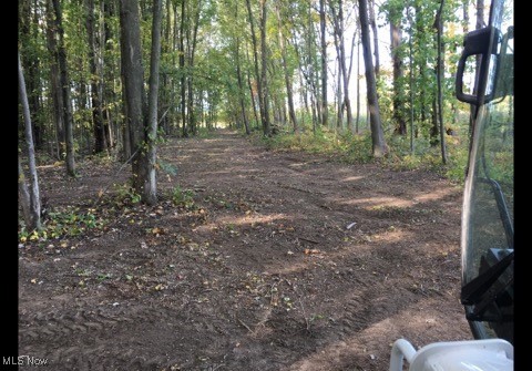 Bates Road Madison, OH 44057 - Photo 3 of 13 wooded