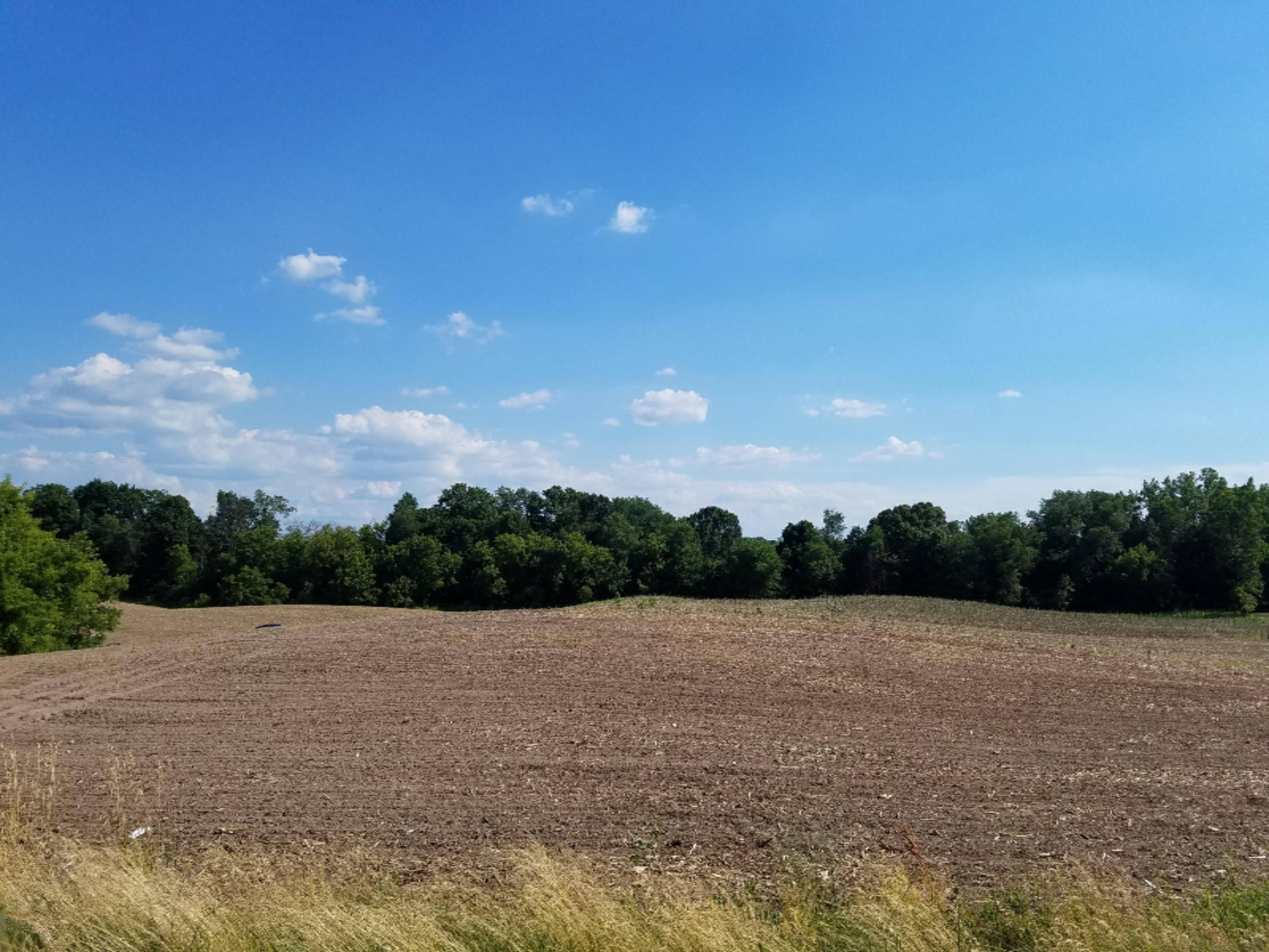 11386 5 Mile Road Northeast, Unit A Lowell, MI 49331 - Photo 3 of 7 20160630_172037