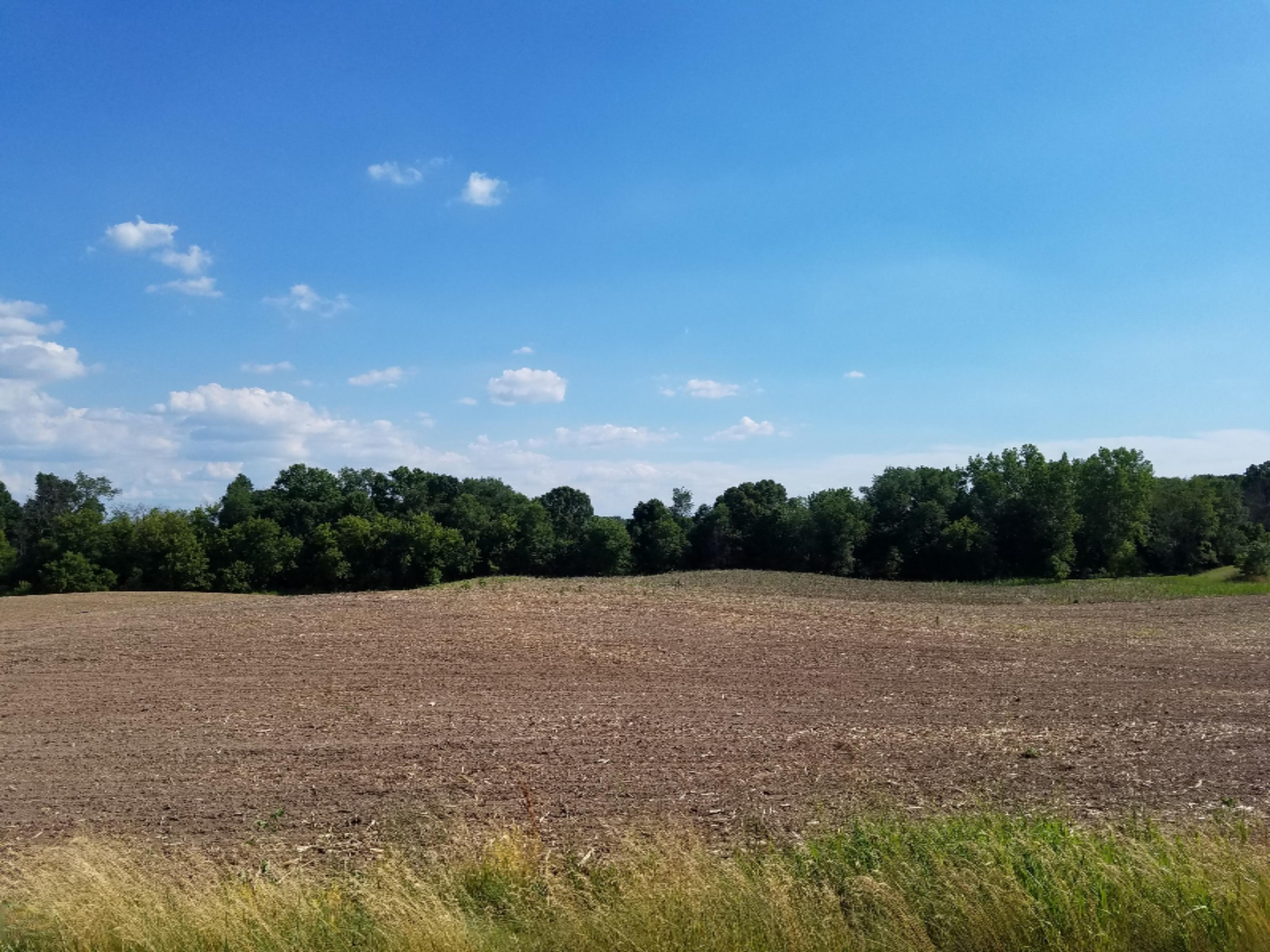 11386 5 Mile Road Northeast, Unit A Lowell, MI 49331 - Photo 4 of 7 20160630_172034
