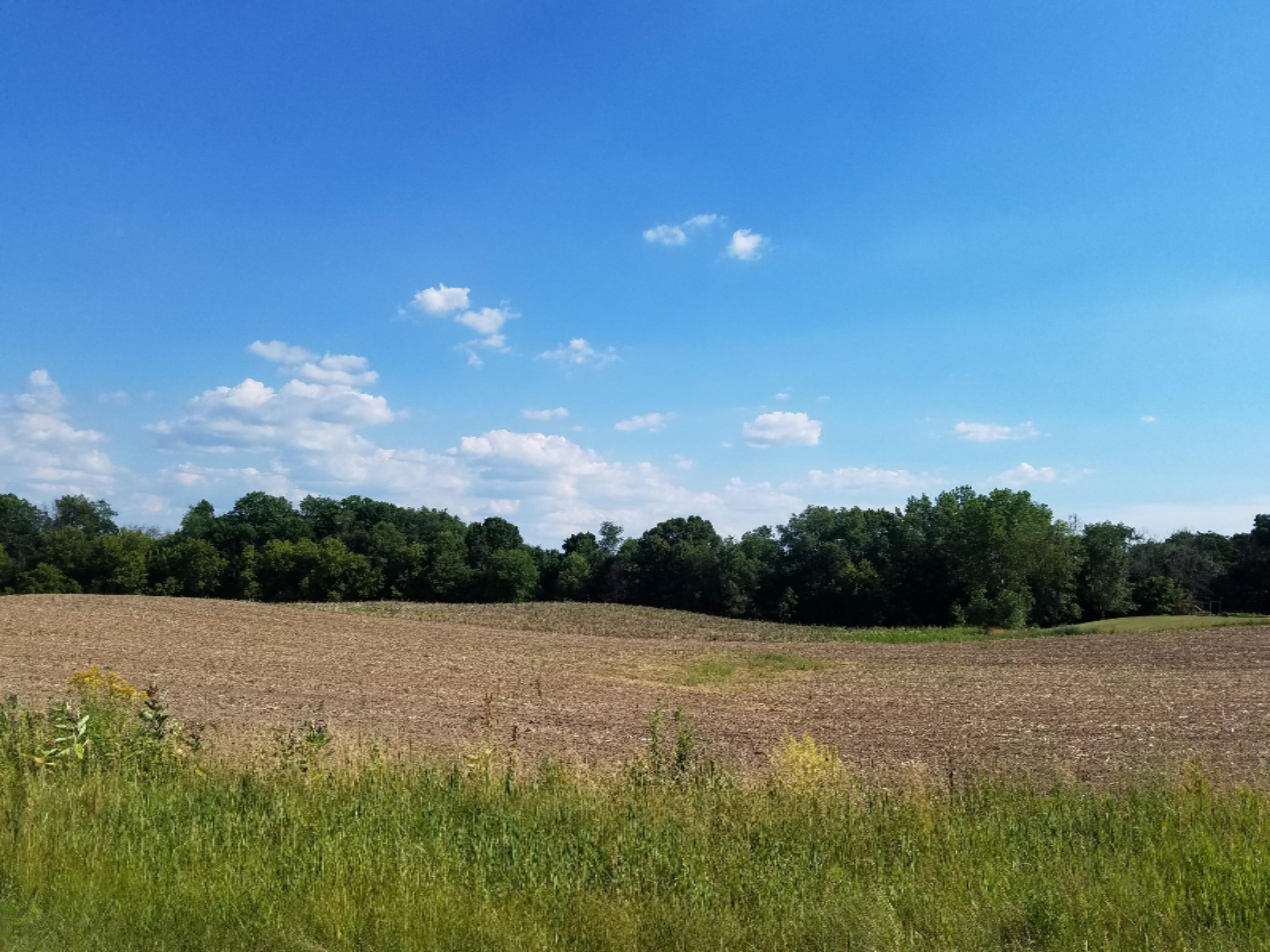 11386 5 Mile Road Northeast, Unit A Lowell, MI 49331 - Photo 5 of 7 20160630_172009