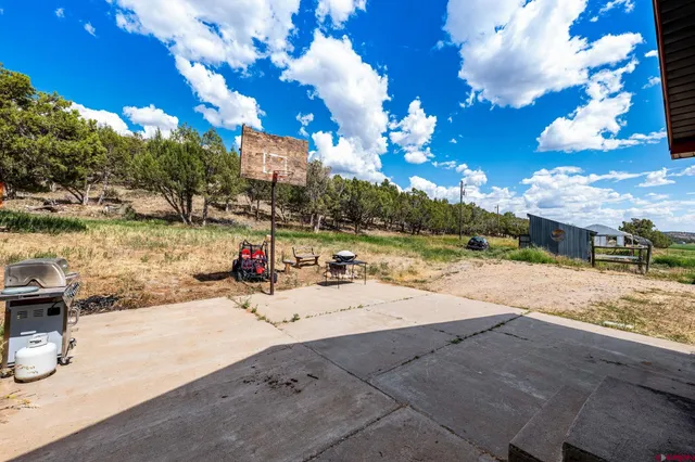 a view of a park with large trees