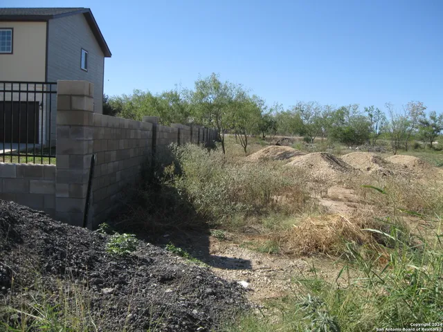 a view of a yard with large trees