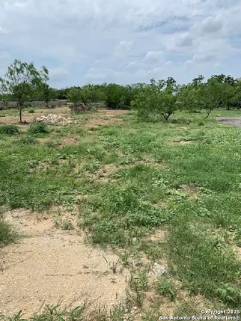 a view of a field with an ocean