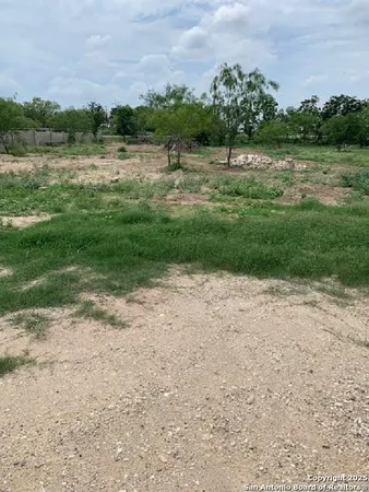 a view of a field with a tree in the background